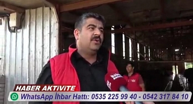 Kurbanlıklar Görücüye Çıktı.