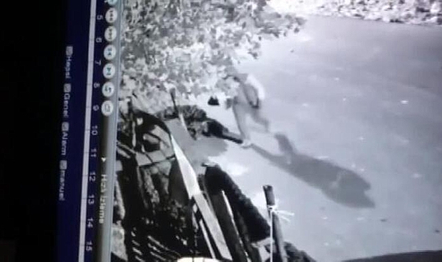 Arnavutköy'de 4 kişi 12 tavuğu çaldı