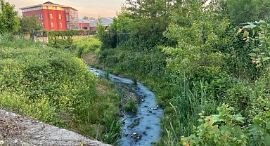Arnavutköy'de derenin rengi maviye döndü, mahalleli tedirgin oldu